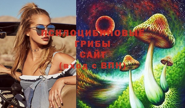 прущая мука Абаза