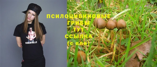 МДПВ Абдулино