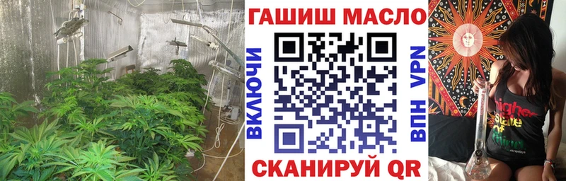 ТГК THC oil  Камень-на-Оби 