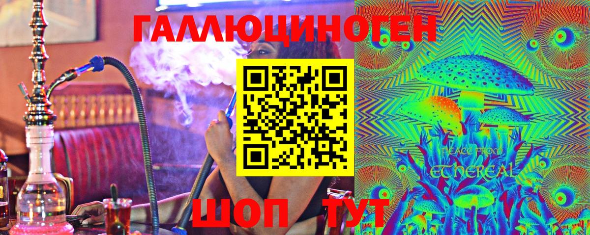Галлюциногенные грибы Psilocybine cubensis Камень-на-Оби