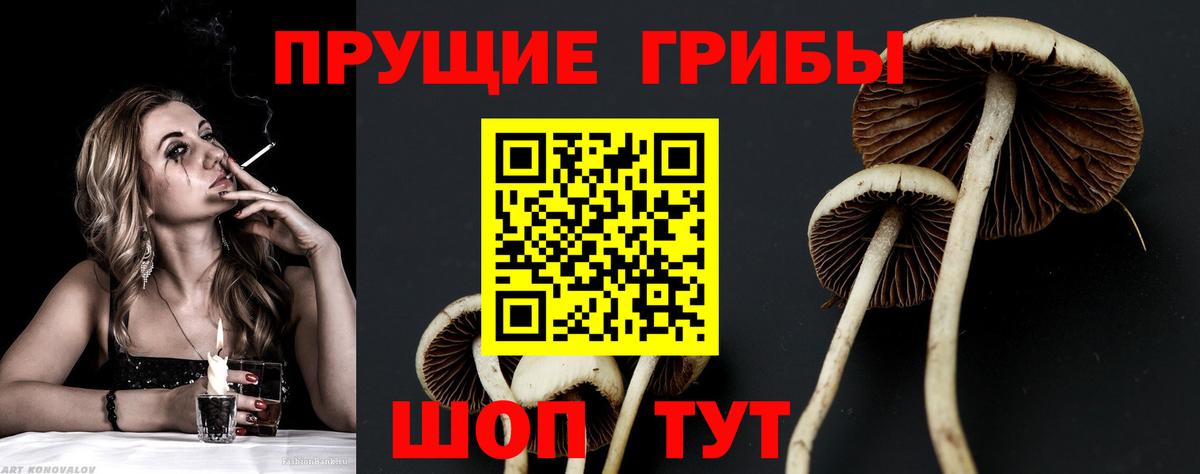 Галлюциногенные грибы GOLDEN TEACHER  Псилоцибиновые грибы Magic Shrooms  Вход с VPN  Камень-на-Оби 